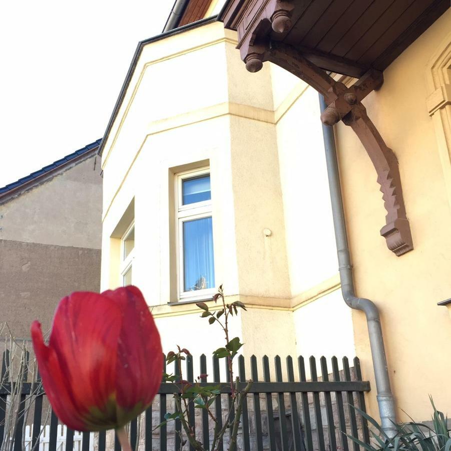 Апартаменты Gastehaus St. Ritter & D. Pacia Зангерхаузен Экстерьер фото